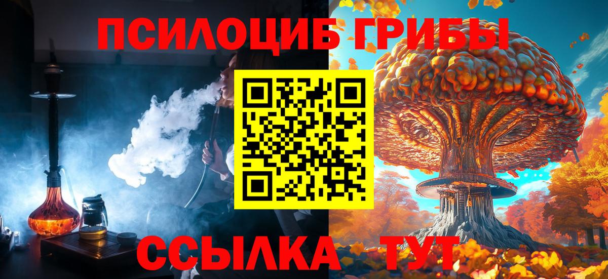 Псилоцибиновые грибы мухоморы Электрогорск